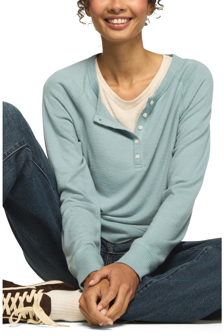 Cloud Long Sleeve Henley, Alternate, color, TOURMALINE