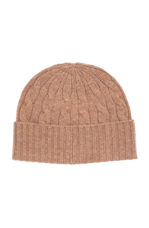 Polo Ralph Lauren Charles Bear Cable Beanie In Brown