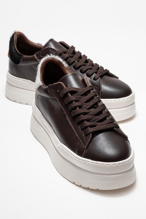 Forever & Always Shoes Anabel Leather Platform Sneakers In Brown