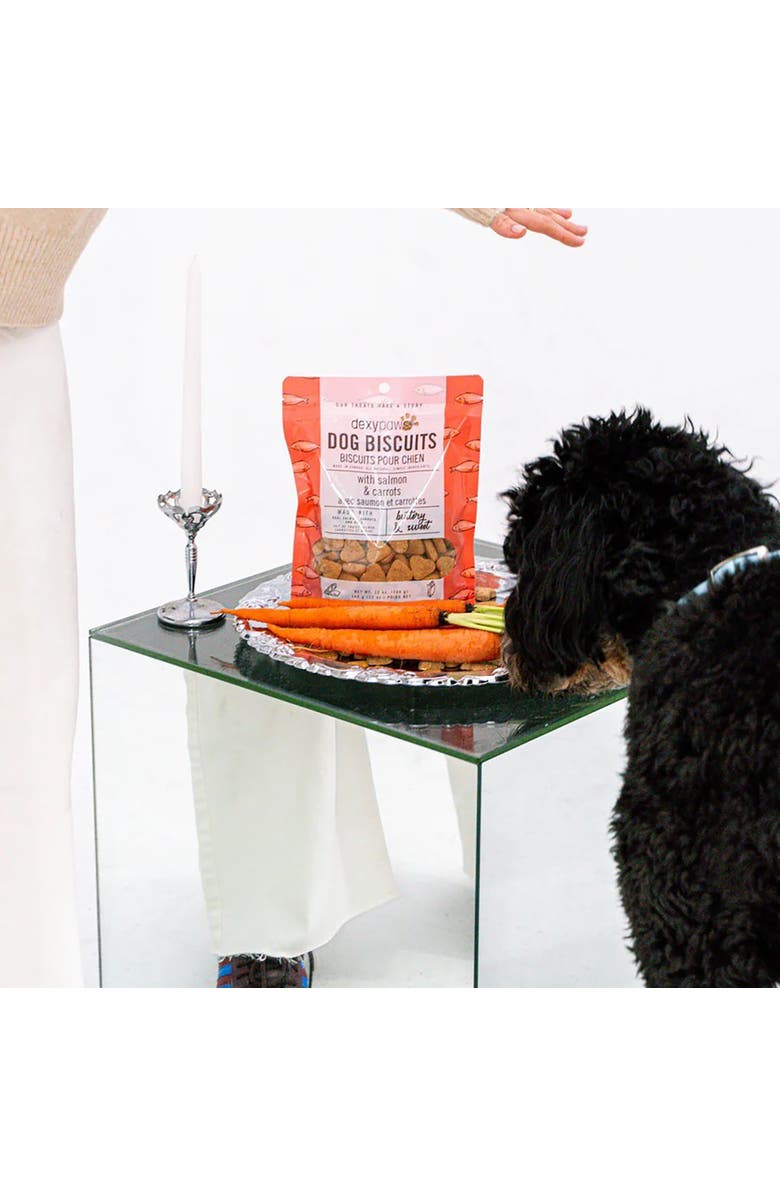 Dexypaws Salmon & Carrot Dog Biscuits 12Oz All Natural Pet Treats, Alternate, color, Brown