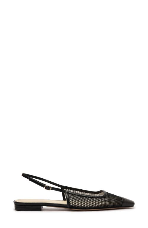 Alexandre Birman Olivia Net Mesh Slingback Ballerina Flats In Black