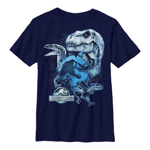 Boy's Jurassic World Fallen Kingdom Dinosaur Frost  Graphic T-Shirt