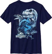 Jurassic World: Fallen Kingdom Boy's Jurassic World Fallen Kingdom Dinosaur Frost Graphic T-Shirt