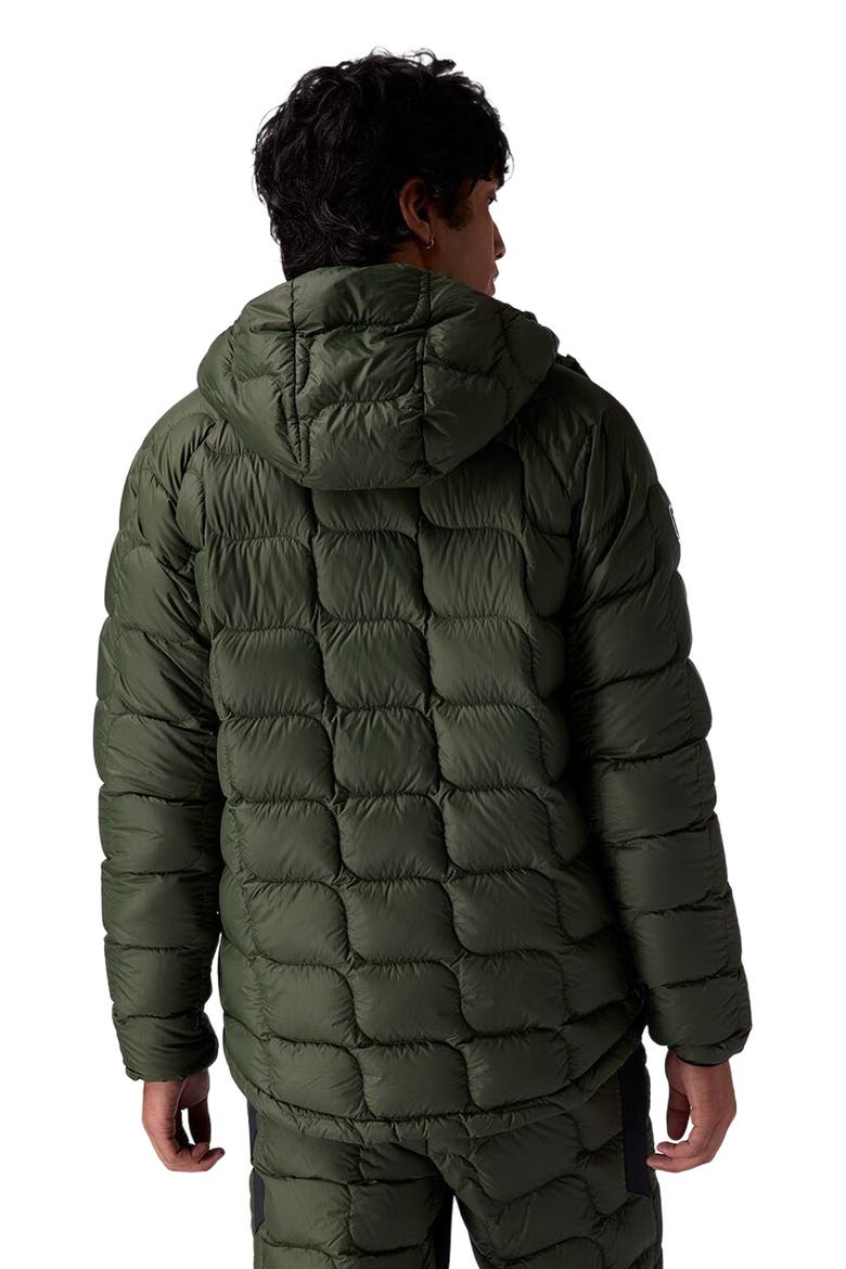 Waas Allied Down Hooded Jacket - Men's, Alternate, color, Climbing Ivy