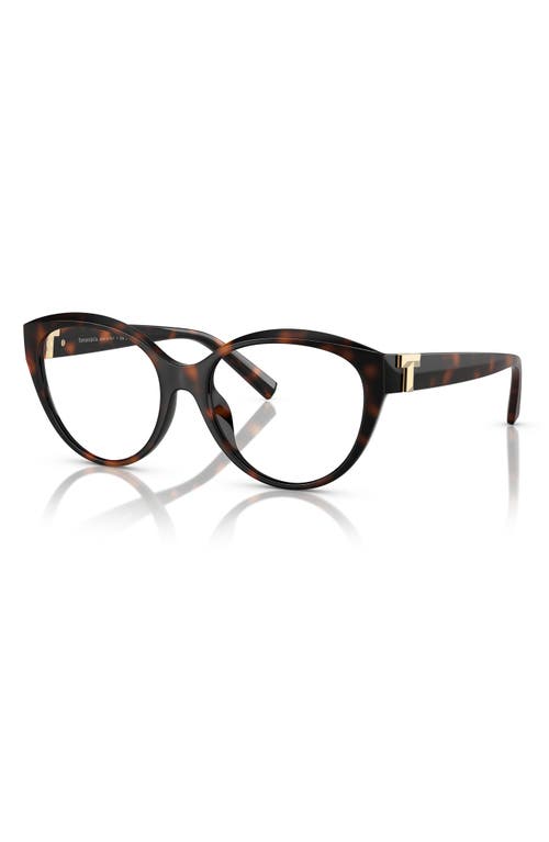 Tiffany & Co . 54mm Cat Eye Optical Glasses In Havana