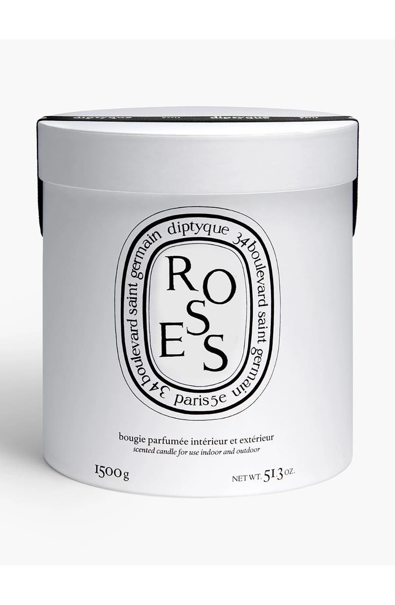 Diptyque Roses Very Large Scented Candle, Alternate, color, Pink Vessel
