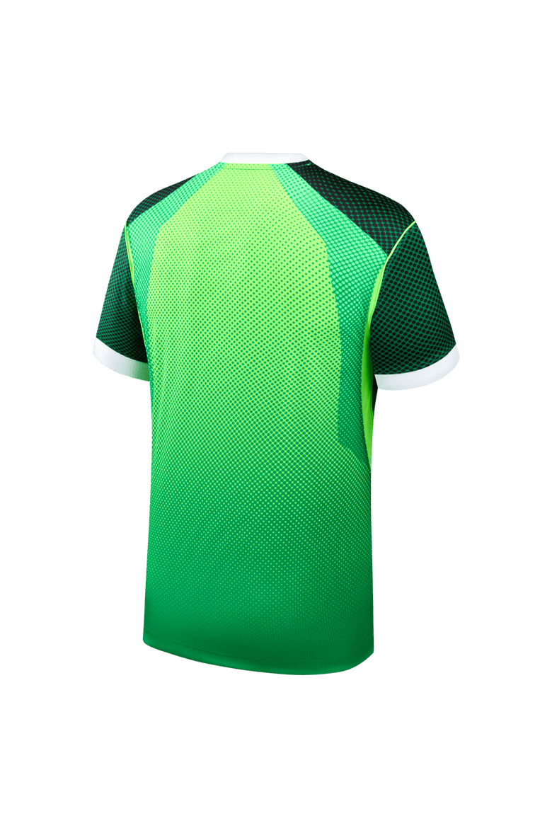 Men's Nike  Green Nigeria National Team 2026 Home Stadium Replica Jersey, Alternate, color, Green
