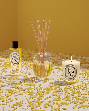 キャンドル diptyque mimosa DIPTYQUE Mimosa Scented Candle, 6.5 oz. | Neiman Marcus