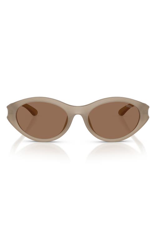 Shop Diesel ® 53mm Oval Sunglasses In Opal Transpar Grey/dark Brown