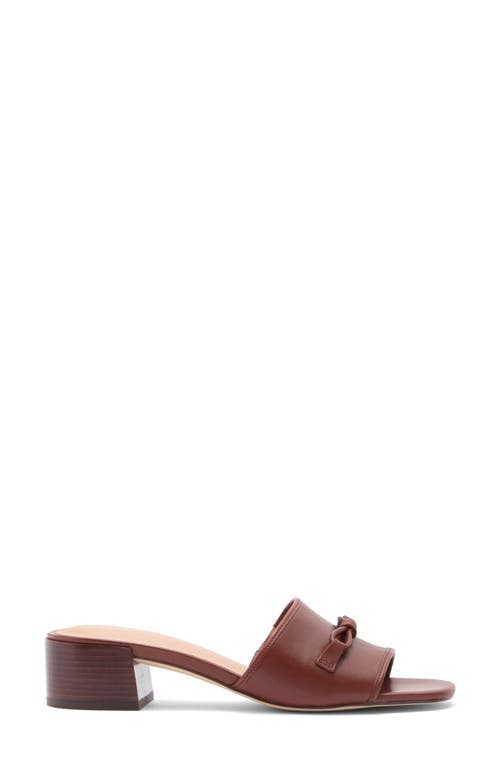 Cole Haan Cailyn Bow Slide Sandal In Brown