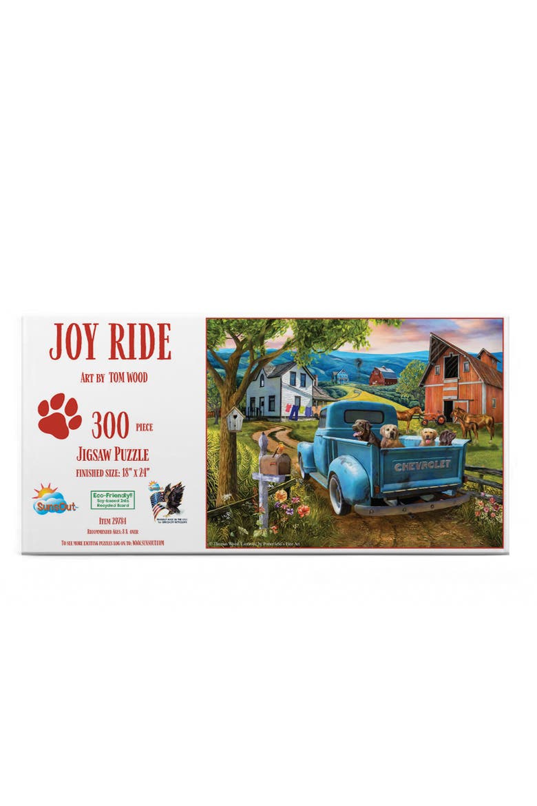 Joy Ride 300 piece Jigsaw Puzzle for Adults, Alternate, color, Multicolor