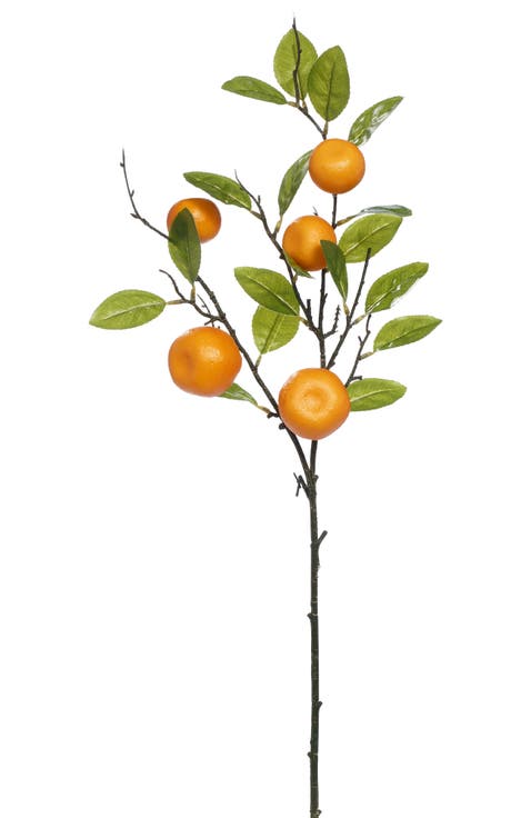 Orange Spray, Box of 6