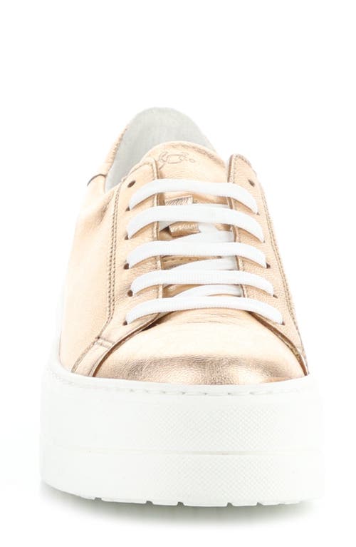 Bos. & Co. Maya Platform Sneaker In Neutral
