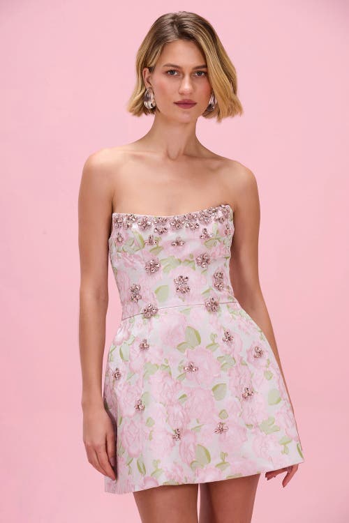 Patbo Garden Jacquard Mini Dress In Pink