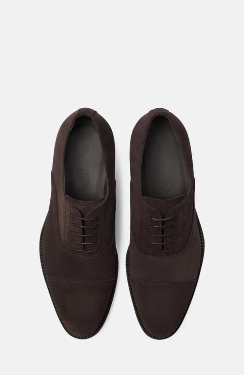 Scarosso Bacco Oxfords