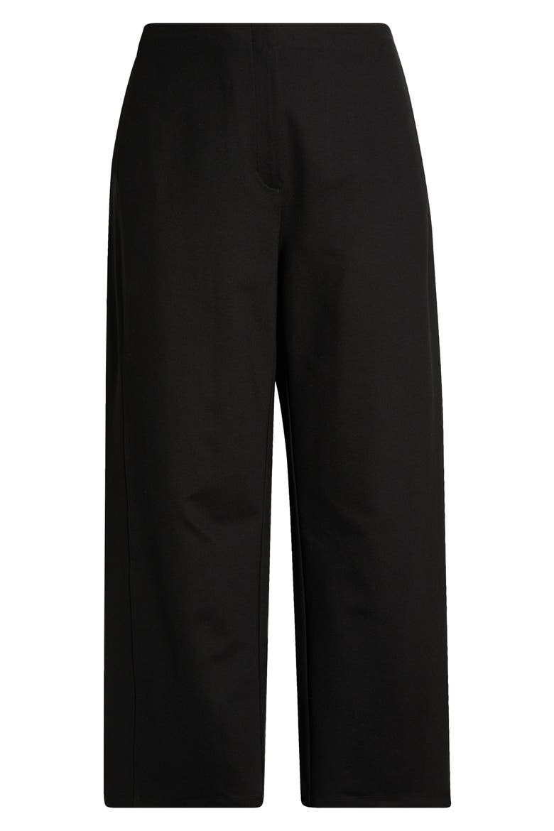Roomy Wide Leg Ankle Pants, Alternate, color, BLACK