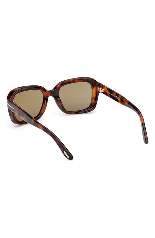 Tom Ford Eyewear Square Frame Sunglasses In Brown