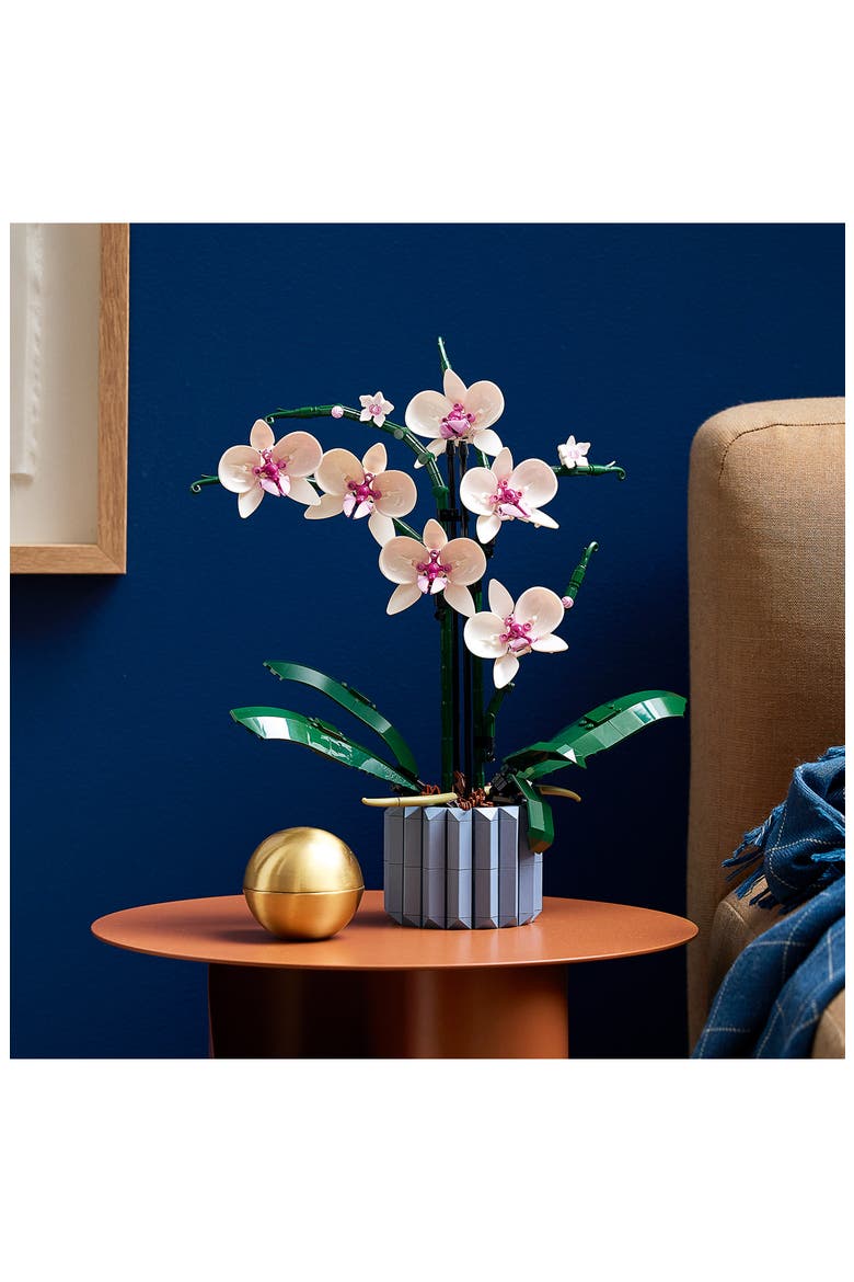 Botanicals Orchid - 10311, Alternate, color, MULTI