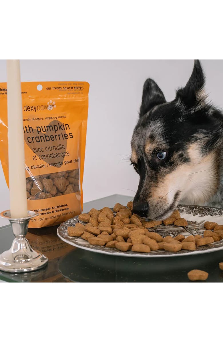 Dexypaws Pumpkin 
Cranberry Dog Biscuits 12oz Natural Pet Treats, Alternate, color, Brown