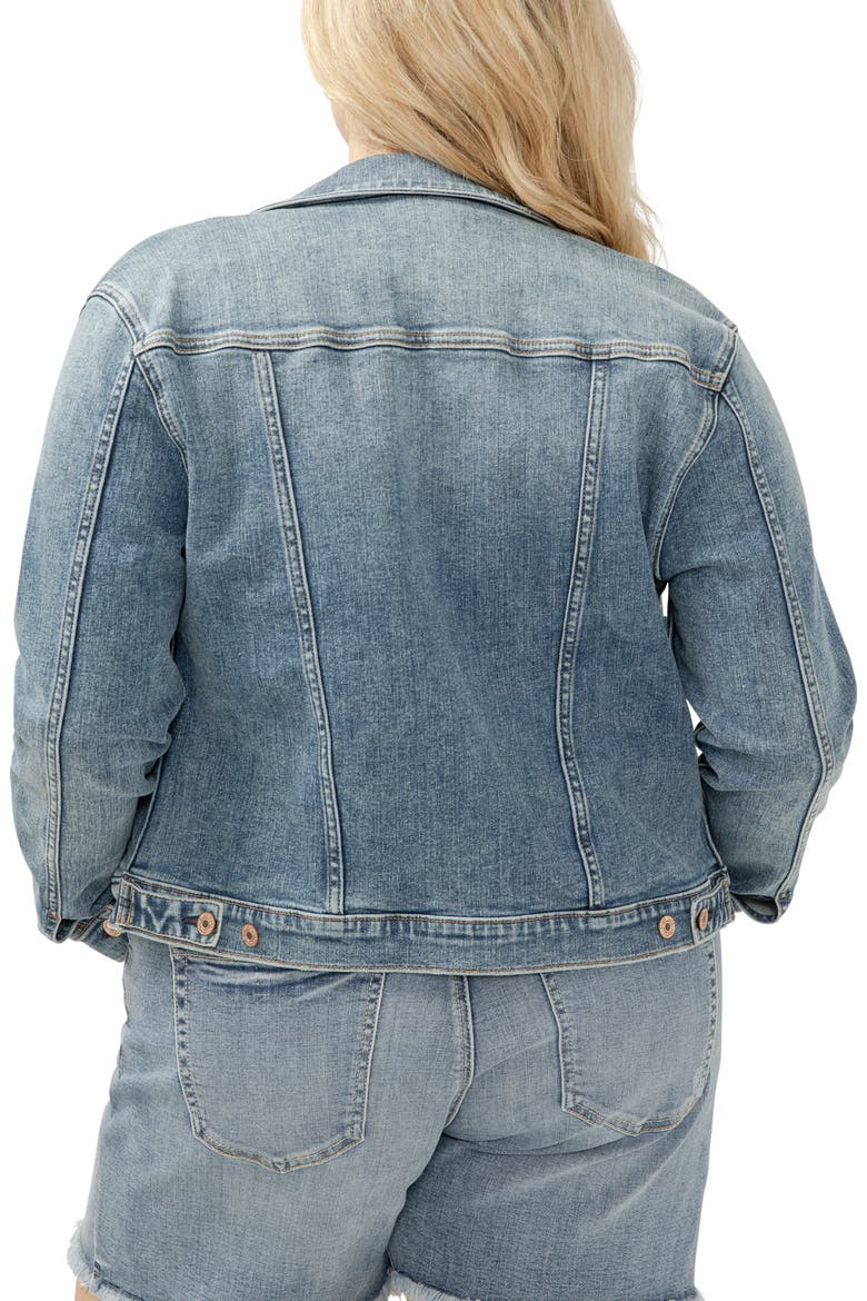 Fitted Denim Jacket, Alternate, color, INDIGO