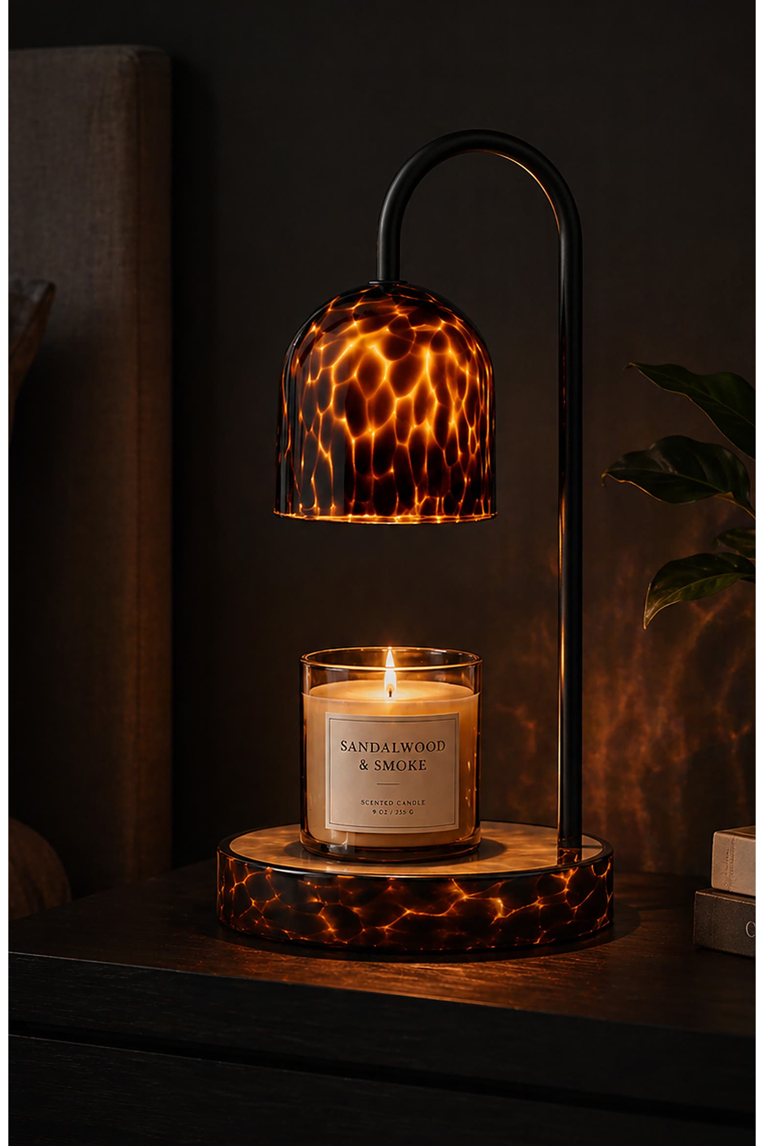 Windshield Turtle Shell Luze Tortoise Shell Glass Candle Warmer | Nordstromrack