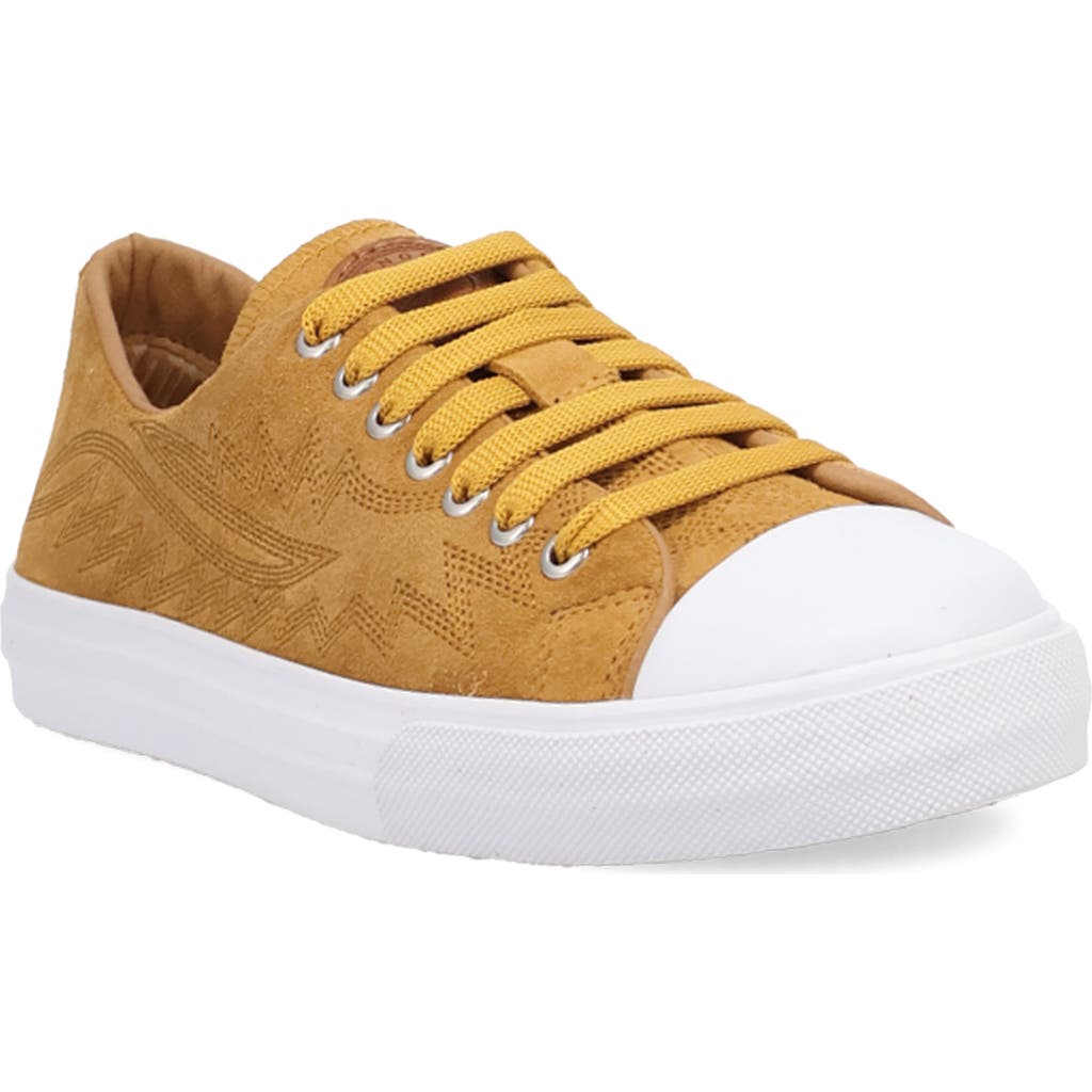 Dingo Campus Sneaker