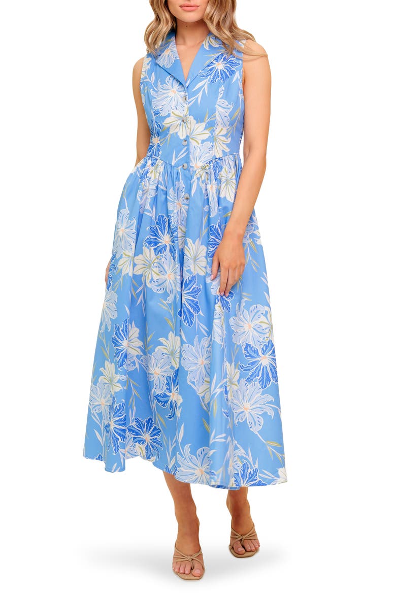 Print Shirtdress, Main, color, POWDER BLUE