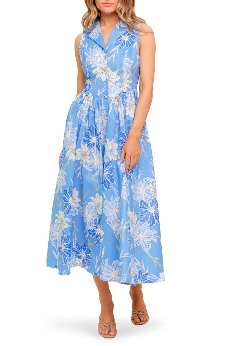 Print Shirtdress