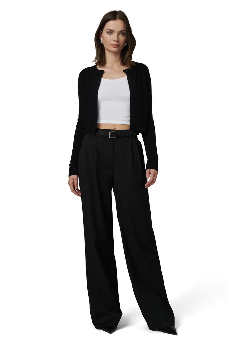 The Dani Pleated Wide Leg Pants, Alternate, color, BLACK