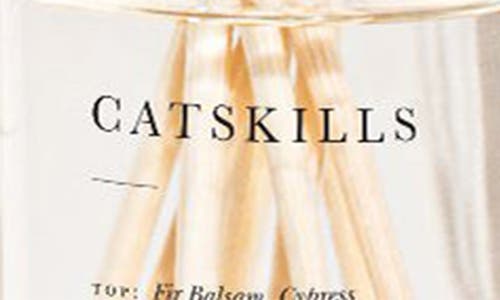 Brooklyn Candle Studio Catskills Reed Diffuser