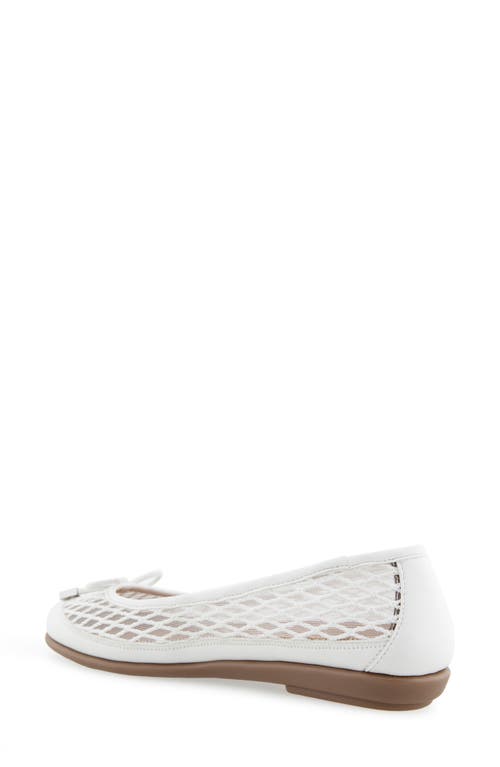 AEROSOLES AEROSOLES BRIA BALLET FLAT 
