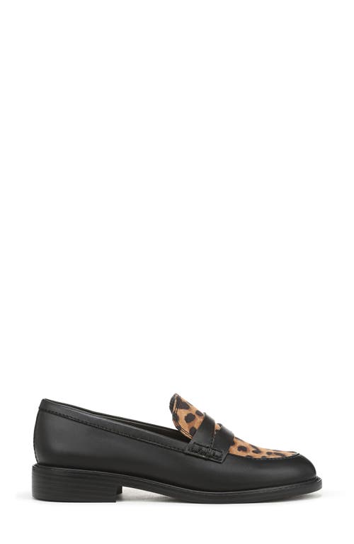 Franco Sarto Alora Penny Loafer In Brown