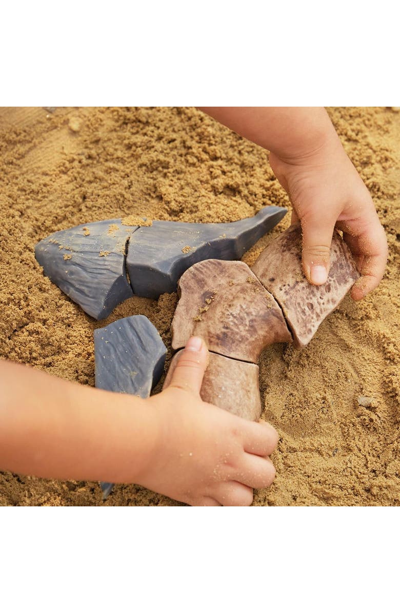 Kaplan Early Learning Company Magnetic Fossil 3D Puzzle - Megalodon Tooth - 6 Pieces, Alternate, color, Brown