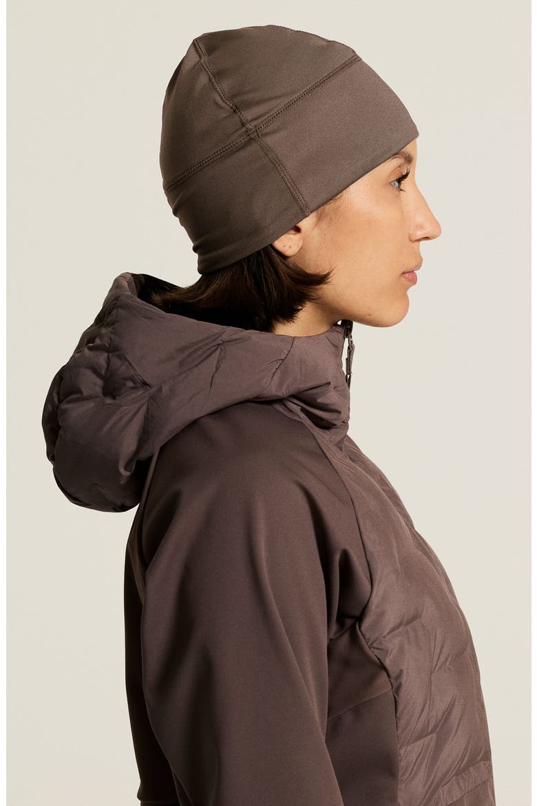 Windblock Fleece Beanie, Alternate, color, PLUM TAUPE