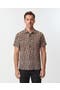selected Leopard Brown