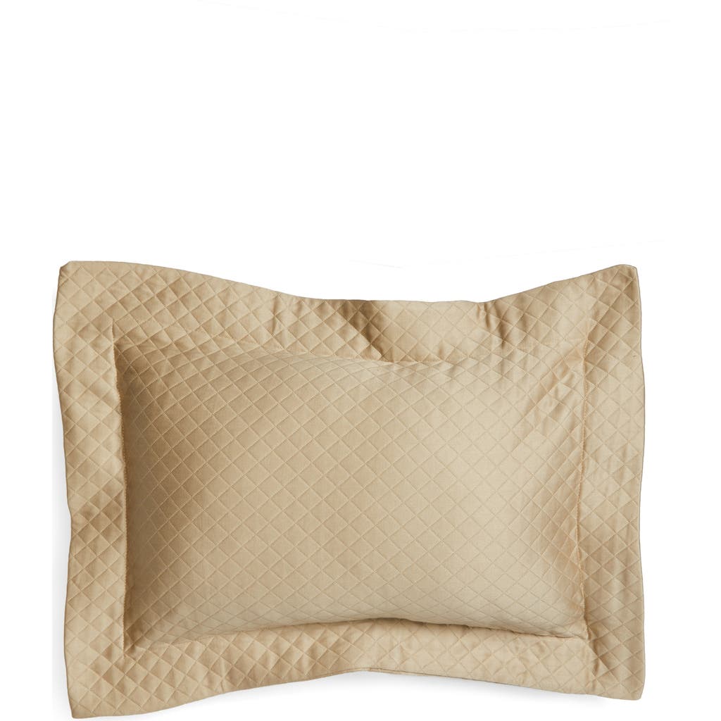 Sferra Bari Boudoir Sham In Taupe
