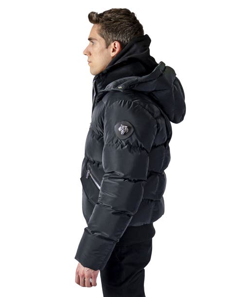 Woodpecker Woody Bomber Quilted Coat In Black