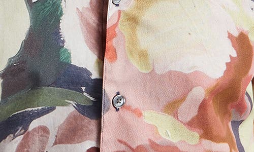 Ted Baker Brynhil Print Cotton Button-up Shirt In Multi