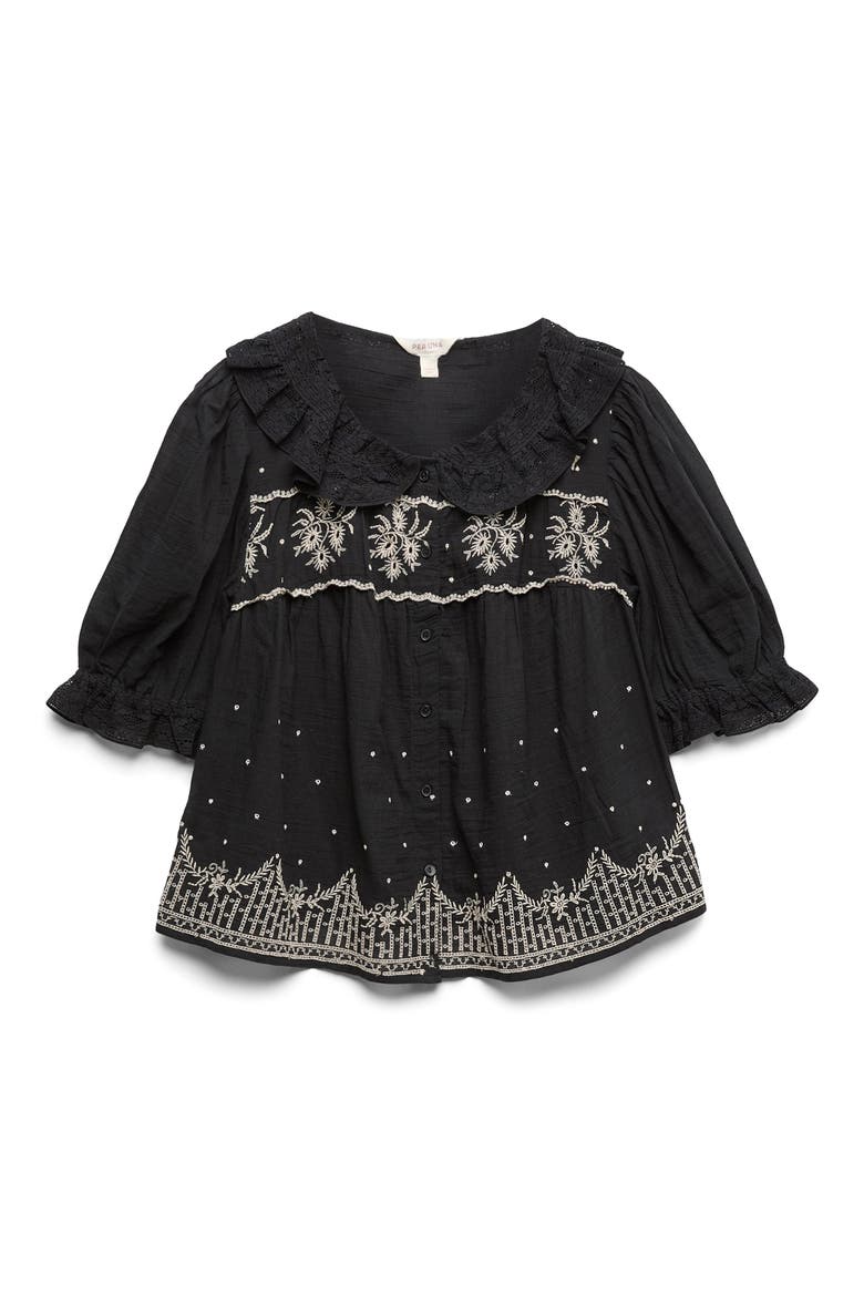 Embroidered Lace Collar Top, Alternate, color, BLACK/ MULTI