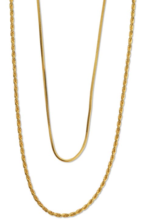 Rope & Serpentine Chain Layered Necklace