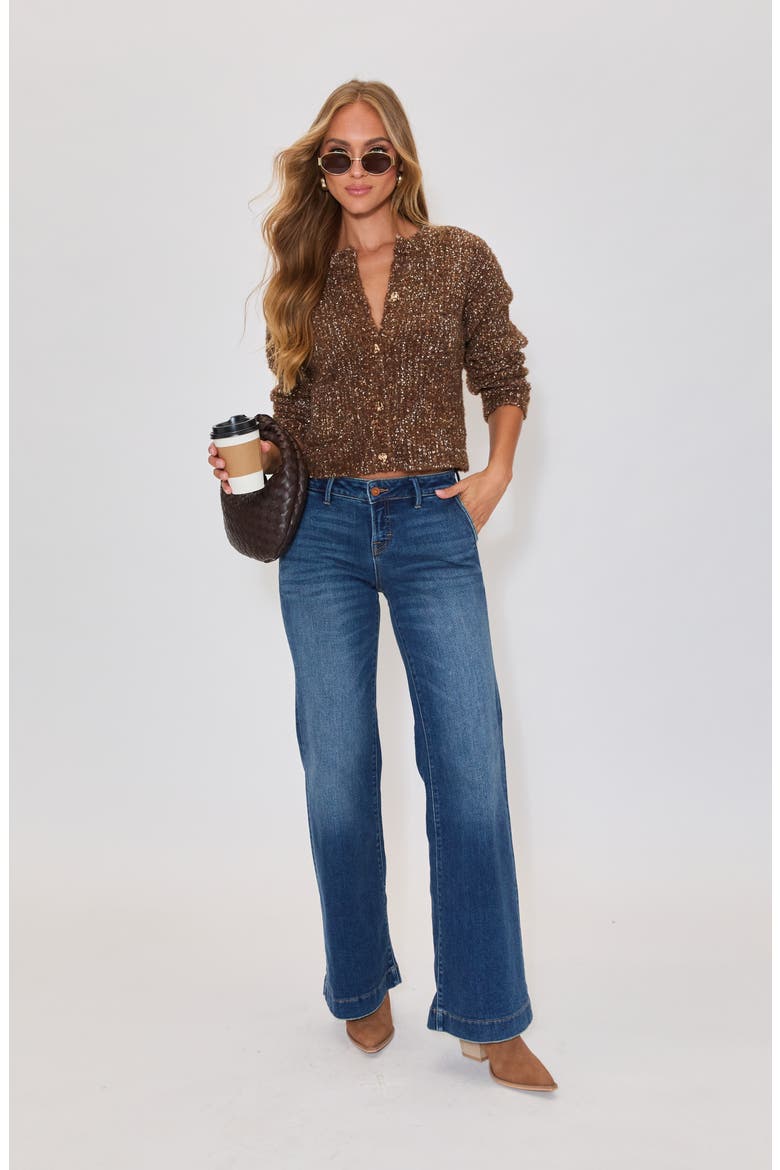 Toasty Cardigan, Alternate, color, BROWN