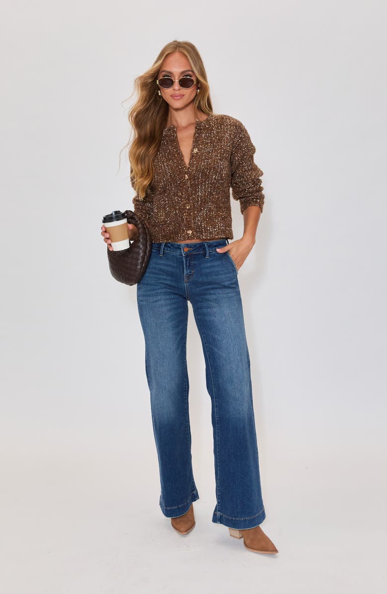 VICI Collection Toasty Cardigan, Alternate, color, Brown