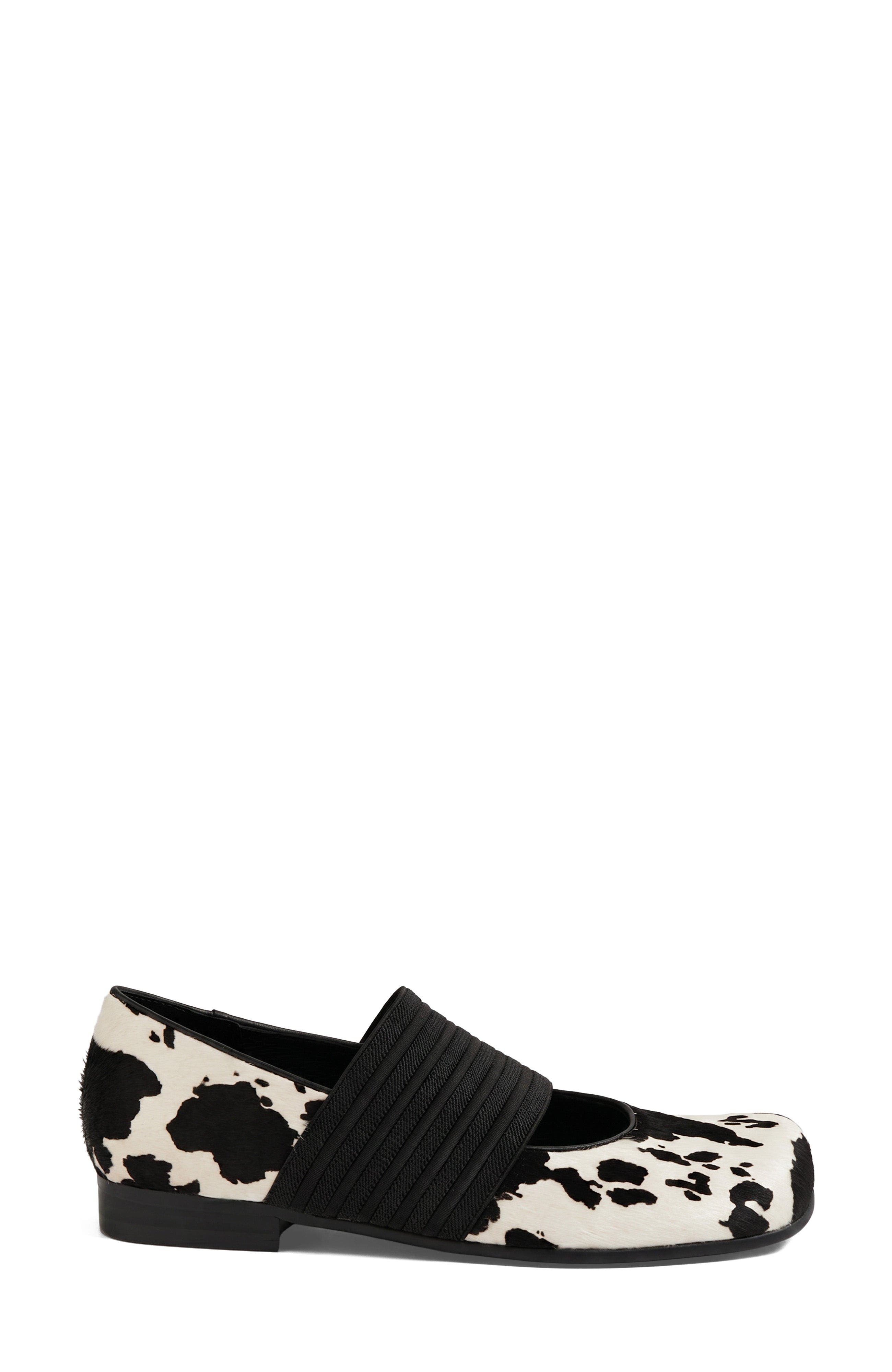 Gazar Elastic Flat, Alternate, color, Cow Black Pony