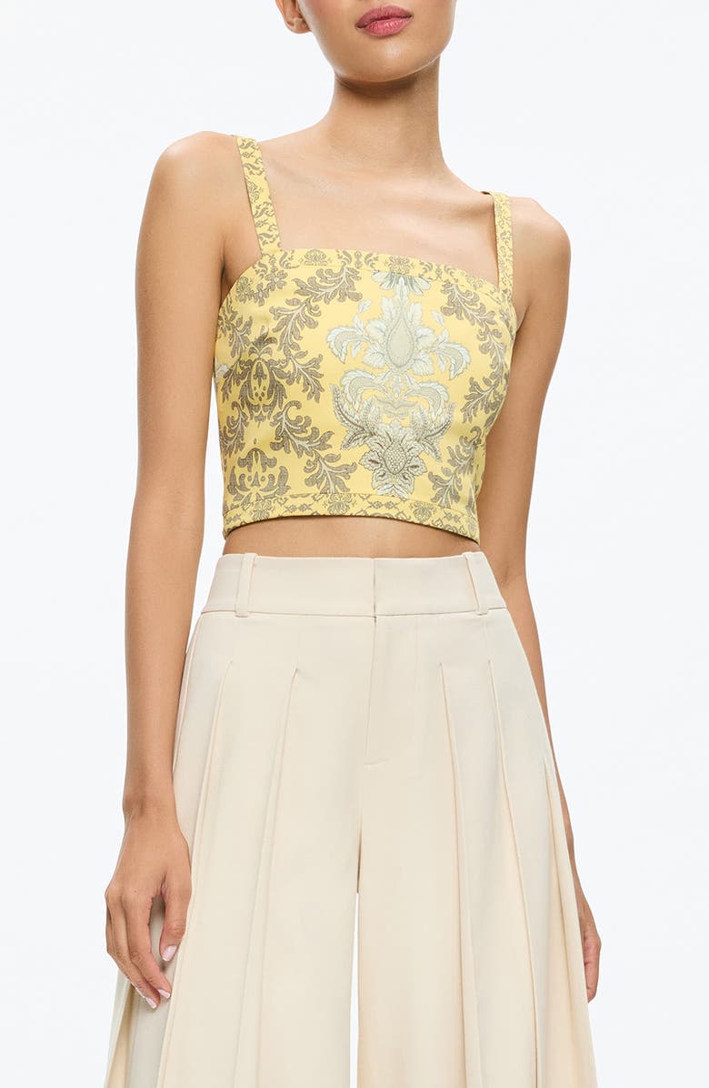 Alice + Olivia Sasha Paisley Lace-Up Crop Top, Main, color,