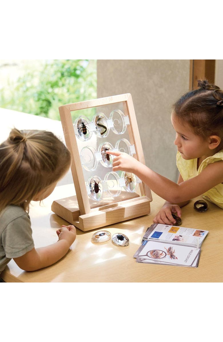 Kaplan Early Learning Company Specimen Stones Creepy Crawlers - 9 Stones, Alternate, color, Multicolored