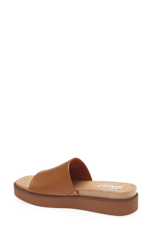 Steve Madden Robyn Platform Slide Sandal In Brown