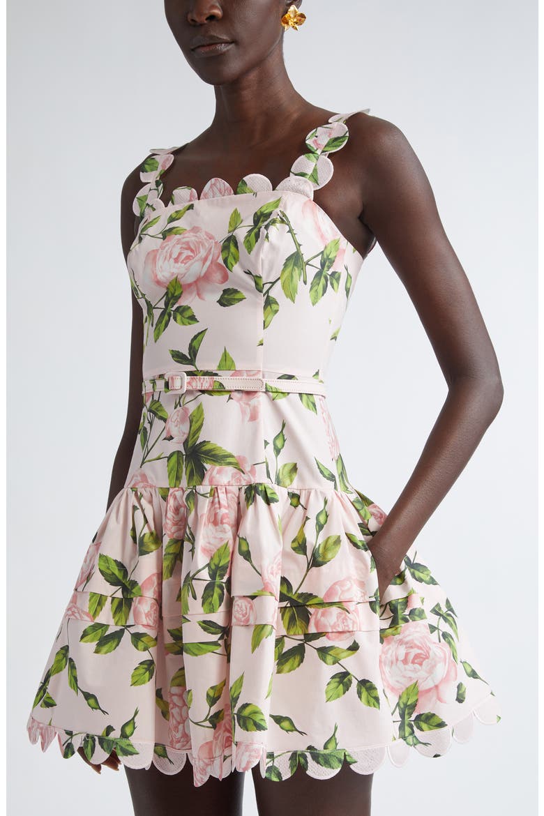 English Rose Print Belted Minidress, Alternate, color, PINK/ BLUSH