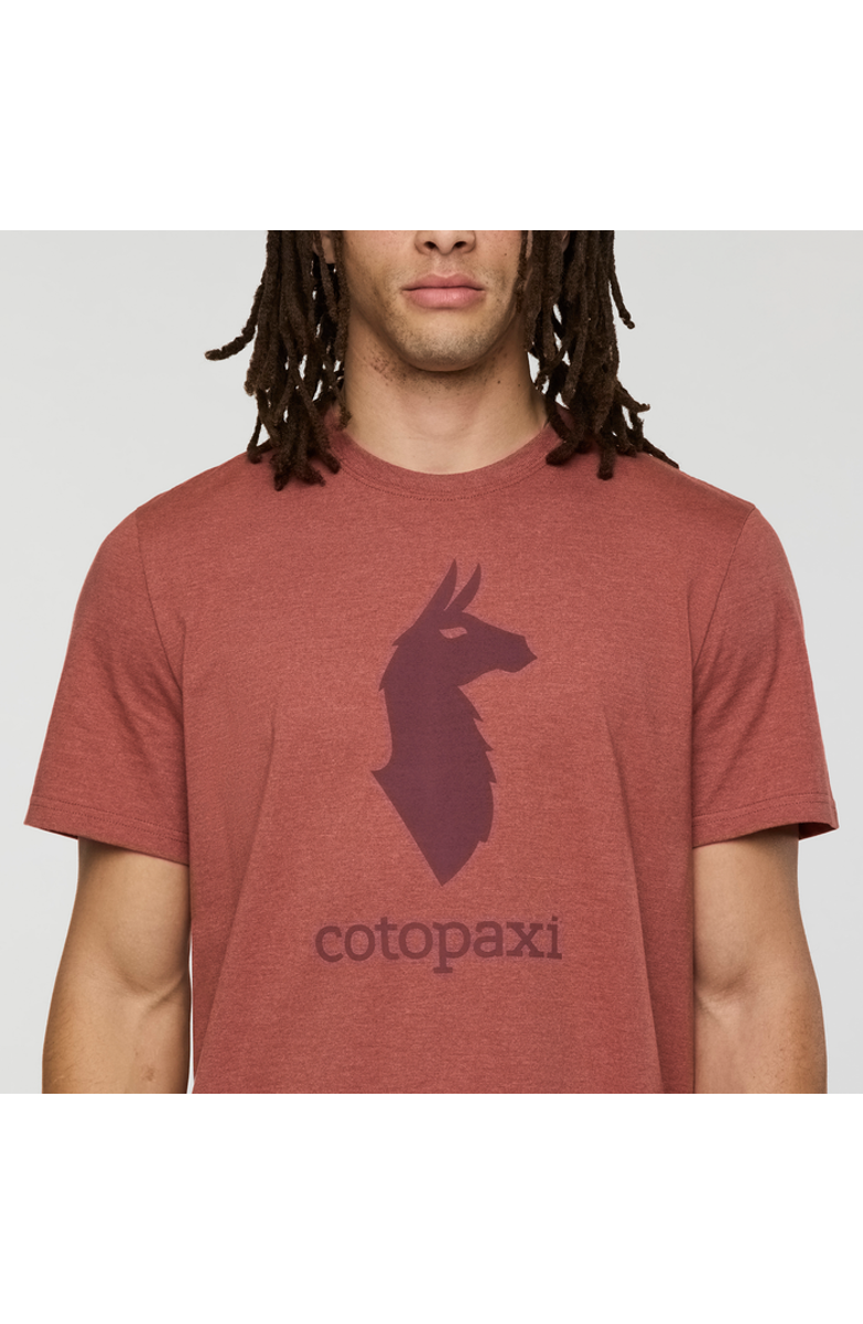 Cotopaxi Llama T-Shirt - Men's, Alternate, color, Nutmeg