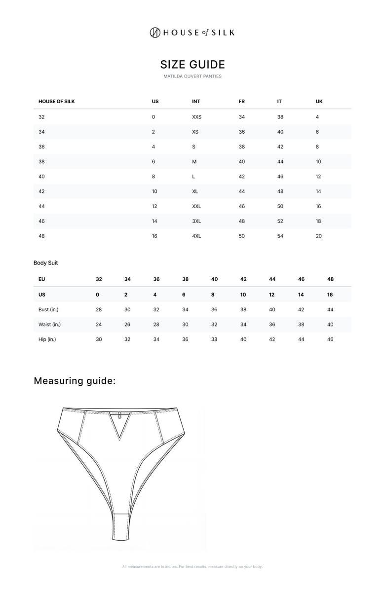 House Of Silk Matilda Ouvert Lace Panties, Alternate, color, Black