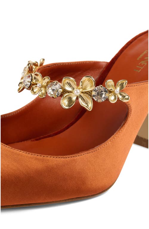 Lk Bennett Ambrose Mary Jane Pointed Toe Mule In Brown